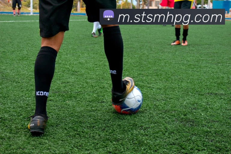 pg官网平台生态图